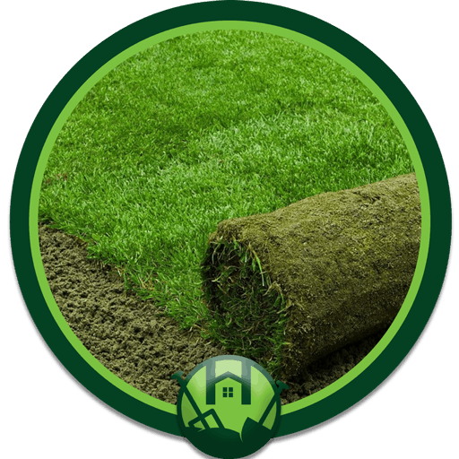 خدمة العشب الطبيعي - هوم جاردن لتنسيق الحدائق
