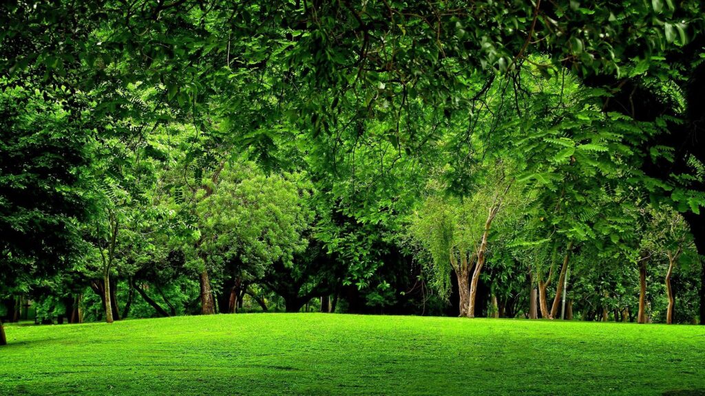 افضل شركة تركيب ثيل طبيعي فى الرياض – homegardensa.com