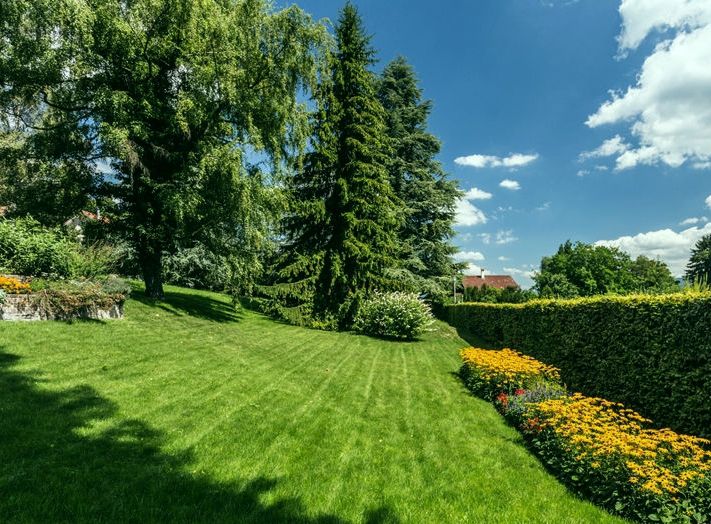 افضل شركة تركيب ثيل طبيعي فى الرياض – homegardensa.com