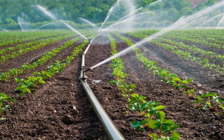 Drip irrigation network supplies