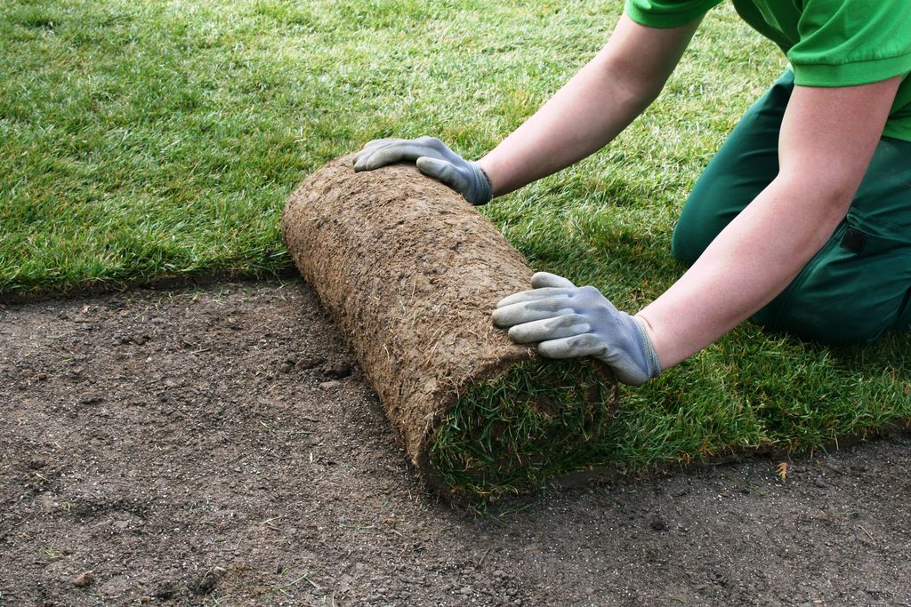 أخطاء شائعة في تركيب عشب طبيعي وكيفية تجنبها – homegardensa.com