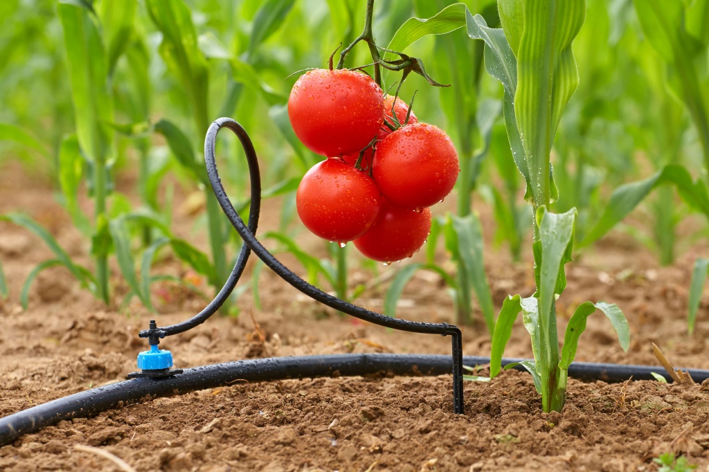 دليل شامل لاختيار أفضل نظام ري حديث لاحتياجاتك &ndash; هوم جاردن لتنسيق الحدائق