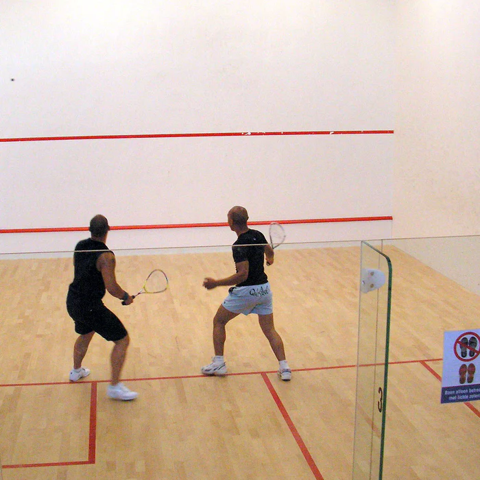 أحدث تصميمات ملاعب الاسكواش في الرياض 3 أحدث تصميمات ملاعب الاسكواش في الرياض – هوم جاردن لتنسيق الحدائق