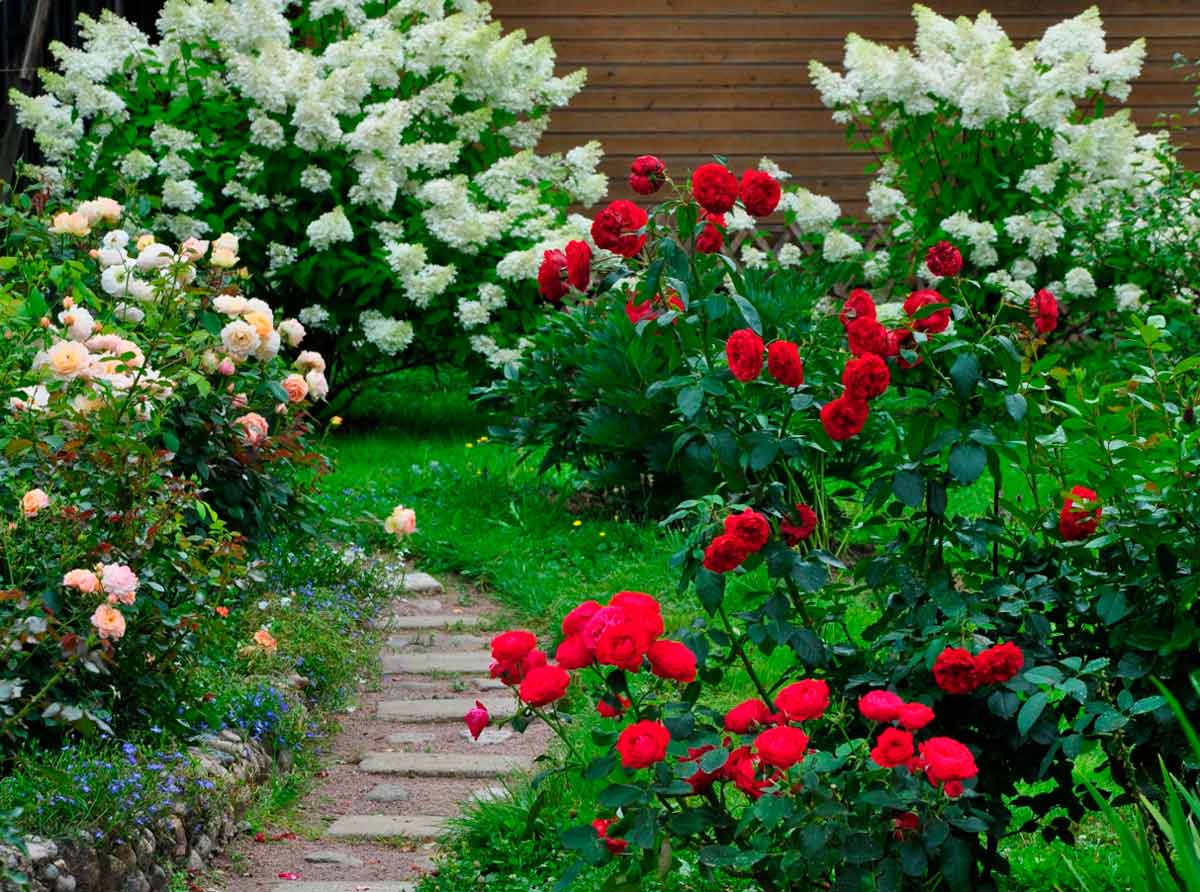 أفكار رائعة لترتيب حديقة داخلية في مساحات ضيقة – homegardensa.com
