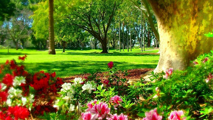 Flowers Garden Design by Home Garden Riyadh – homegardensa.com