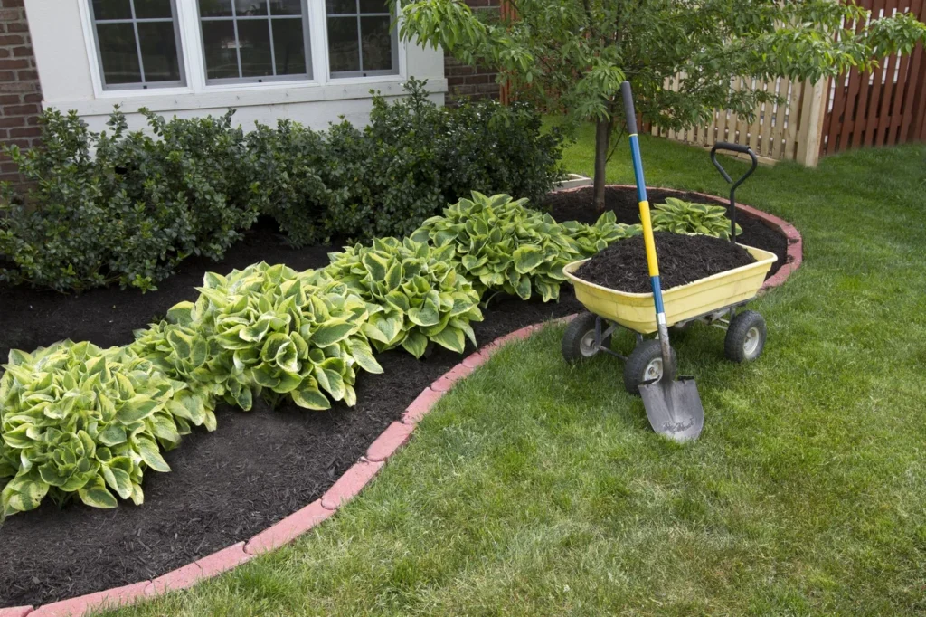 Gardening and Landscaping Services in riyadh – homegardensa.com