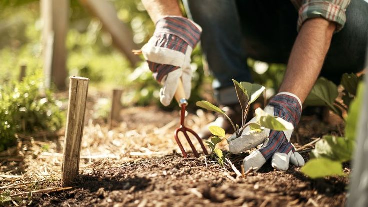 Gardening and Landscaping Services in riyadh – homegardensa.com