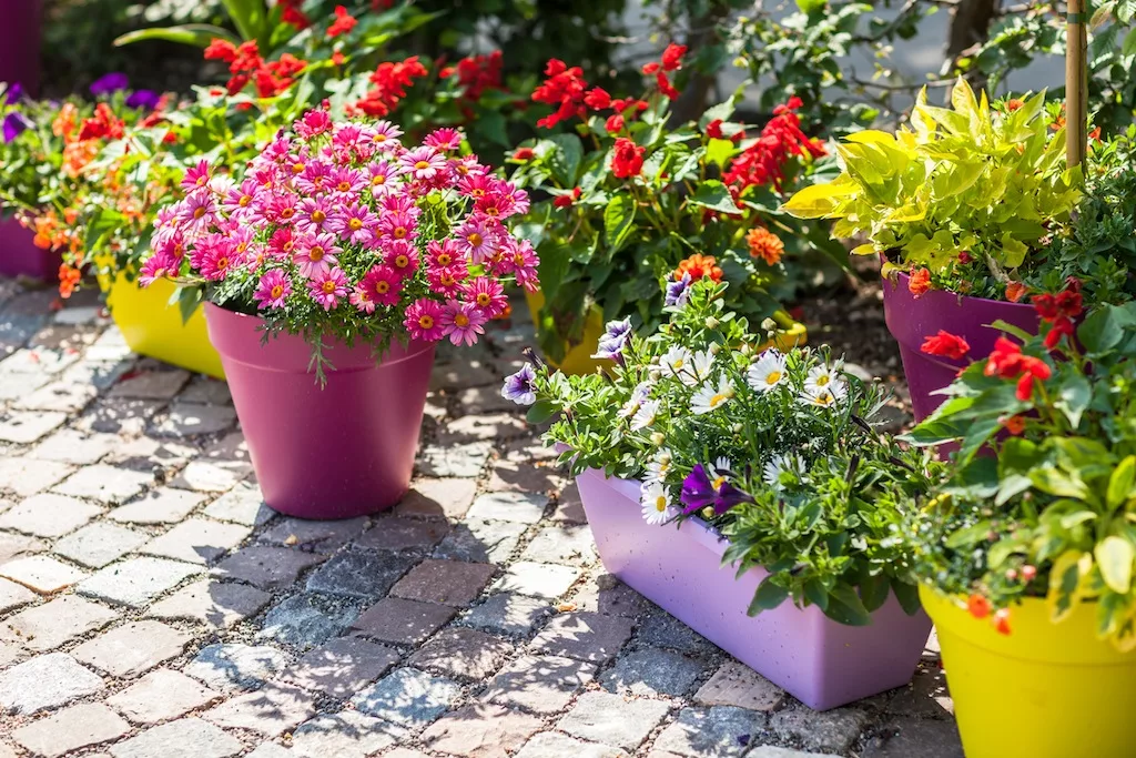 Flowers Garden Design by Home Garden Riyadh – homegardensa.com