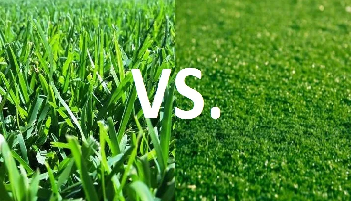 artificial grass vs natural grass